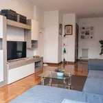 Rent 5 bedroom apartment in Pamplona