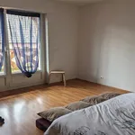  appartement avec 1 chambre(s) en location à Bartenheim