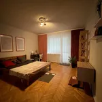 Rent 2 bedroom apartment of 55 m² in Lublin