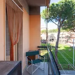 Rent 3 bedroom apartment of 40 m² in Follonica