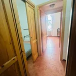 Rent 2 bedroom apartment of 80 m² in genova