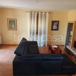 Rent 5 bedroom house of 140 m² in Arezzo