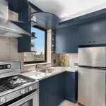 Rent 1 bedroom apartment of 60 m² in New York City