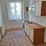 Rent 1 bedroom apartment of 45 m² in Teplice