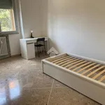 Rent 3 bedroom apartment of 80 m² in Ferrara