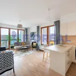 Rent 4 bedroom apartment of 95 m² in Prague