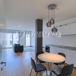 Rent 1 bedroom apartment of 50 m² in Bergamo