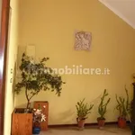 Rent 1 bedroom apartment of 25 m² in Novara