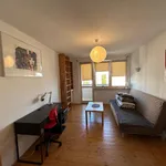 Rent a room in Warszawa