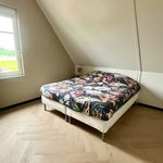 Rent 5 bedroom house of 214 m² in Den Haag