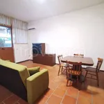 Rent 2 bedroom apartment of 70 m² in Roma