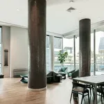 Rent 1 bedroom apartment in Manhattan