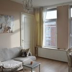 Rent 1 bedroom apartment of 35 m² in The Hague