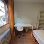 Alquilar 5 dormitorio apartamento en Granada