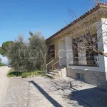 Rent 1 bedroom house of 120 m² in Castiglione del Lago