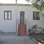 Rent 15 bedroom house of 651 m² in Gangi