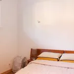 Rent 1 bedroom apartment of 55 m² in porto