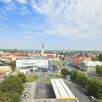 Rent 3 bedroom apartment of 66 m² in Nový Jičín