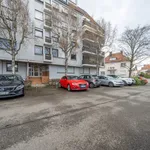 Rent 2 bedroom apartment of 44 m² in Haguenau