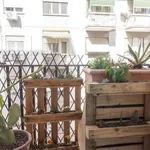 Rent 1 bedroom apartment in rome