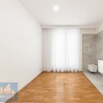 Rent 5 bedroom apartment of 142 m² in Prague