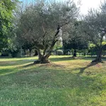 Rent 3 bedroom apartment of 100 m² in Treviso