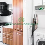 Rent 4 bedroom apartment of 71 m² in Roma