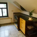 Miete 1 Schlafzimmer wohnung von 49 m² in Dresden