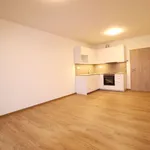 Rent 1 bedroom apartment of 35 m² in slany