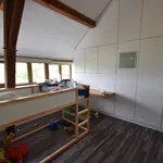 Huur 3 slaapkamer huis van 290 m² in Riemst