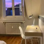 Rent 3 bedroom apartment of 55 m² in Turin