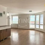 Rent 4 bedroom apartment of 170 m² in Capital City of Prague