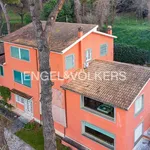 Rent 13 bedroom house of 3 m² in Marino