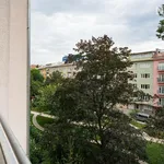 Rent 1 bedroom apartment of 50 m² in Brno