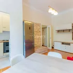 Rent 2 bedroom apartment of 53 m² in Milano