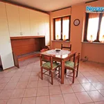 Rent 1 bedroom apartment of 30 m² in Novara