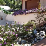 Rent 2 bedroom house of 45 m² in Messina