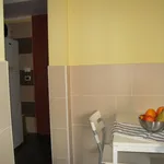 Rent 1 bedroom apartment in Bologna