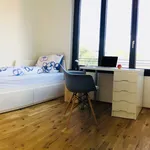 Rent 5 bedroom apartment of 90 m² in Berlin