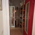 Rent 3 bedroom apartment of 60 m² in Carrara