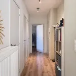 Rent 2 bedroom apartment in Ghent