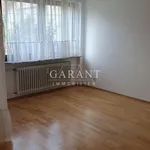 Rent 1 bedroom house of 35 m² in Wangen