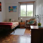 Rent a room of 120 m² in lisbon