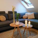 Rent 1 bedroom apartment of 49 m² in Dresden