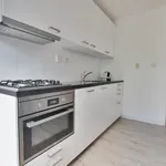 Rent 4 bedroom apartment of 100 m² in Amsterdam