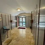 Rent 3 bedroom apartment of 17 m² in Roma