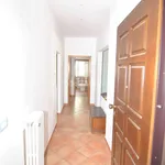 Rent 4 bedroom apartment of 80 m² in Livorno