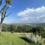 Rent 8 bedroom apartment of 350 m² in Civitella in Val di Chiana