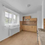 Pronajměte si 1 ložnic/e dům o rozloze 342 m² v Hvězdonice