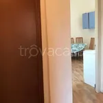 Rent 2 bedroom apartment of 70 m² in Torino